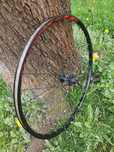 Koło 29 specjalized