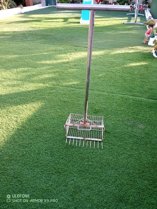 Arrastão para amêijoas