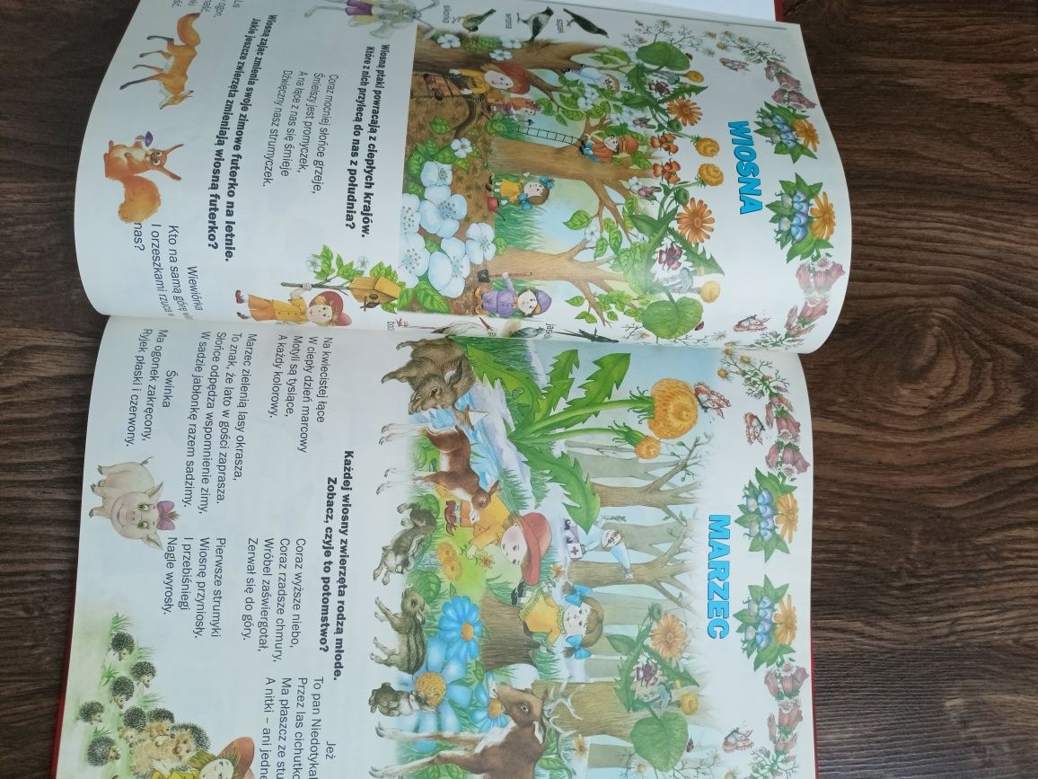 Encyklopedia dziecięca książka w twardej oprawie