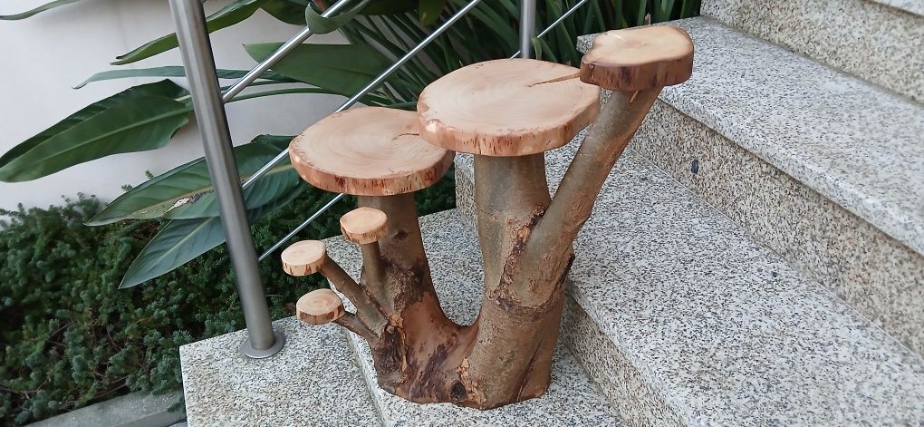 Suporte expositor artesal feito a partir de um só tronco