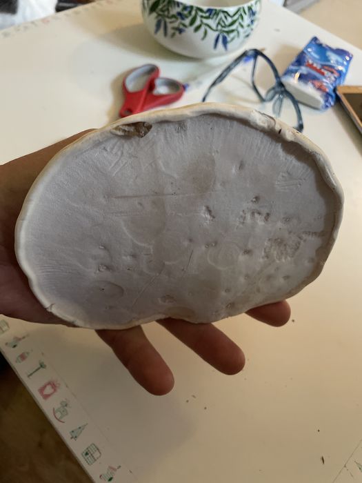 Porek Bialoporek brzozowy
