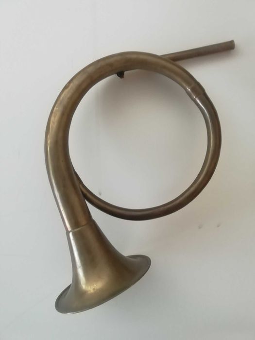 Poroże jelenia plus