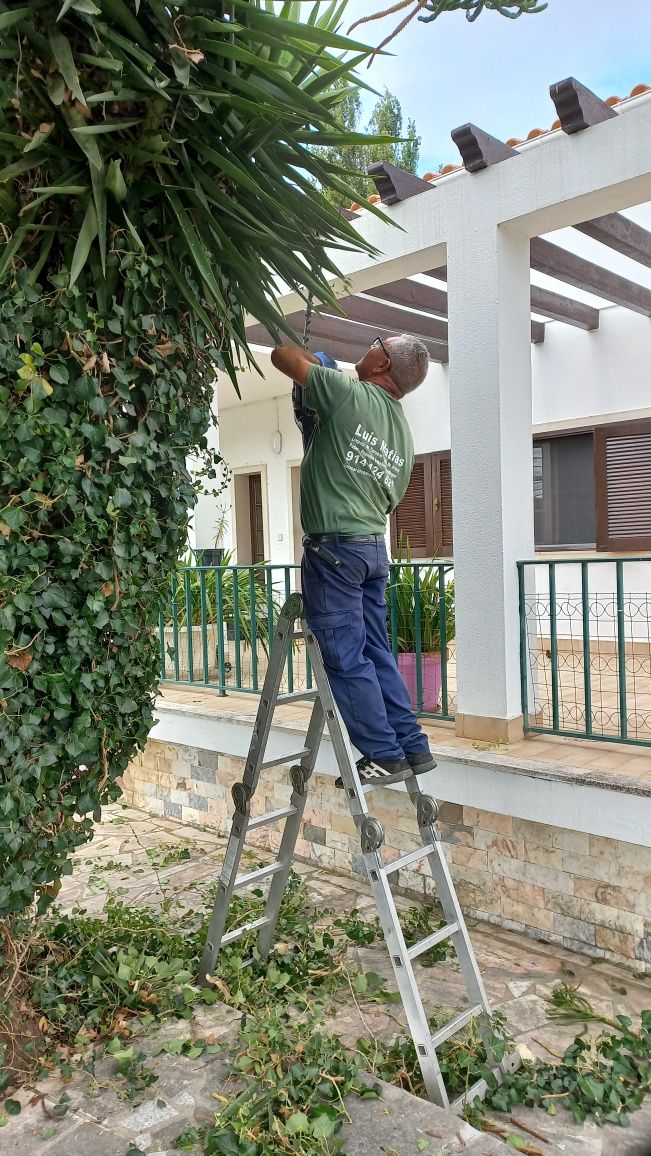 Servico de limpeza de terrenos