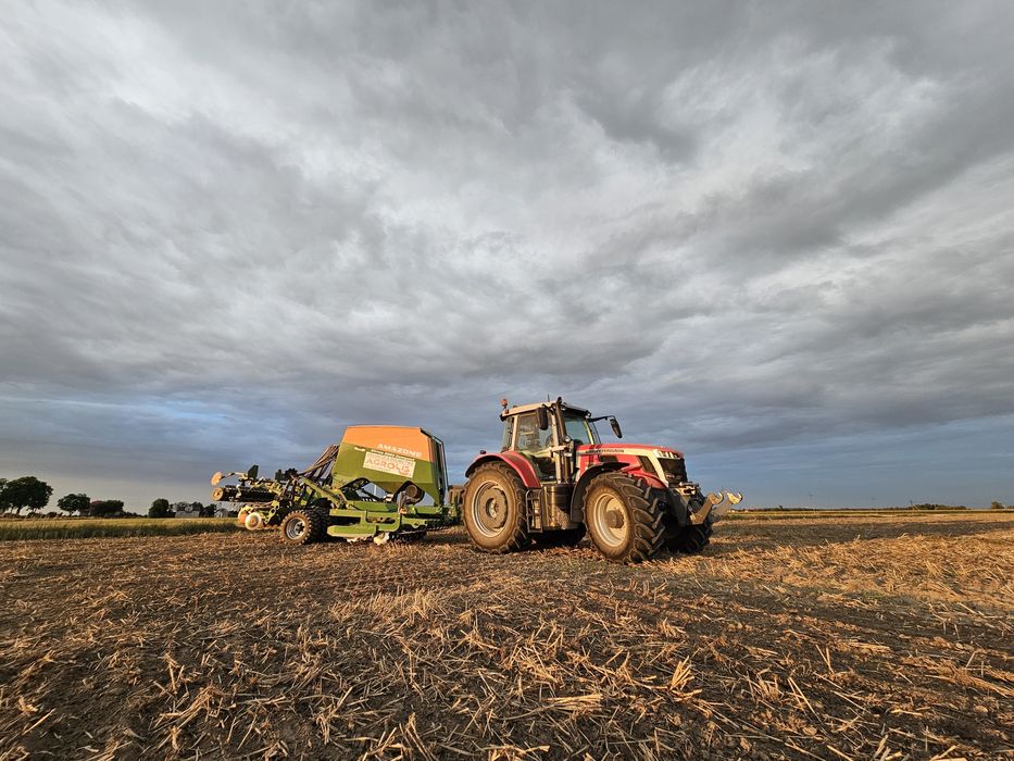 Usługi rolnicze siew kukurydzy zbóż bezorkowa zbiór kombajnem prasą
