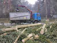 Wycinka drzew, przycinanie żywopłotów, zrębkowanie gałęzi,usuwanie pni