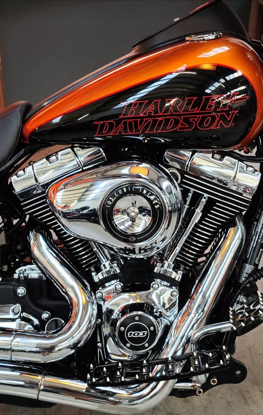 Harley Davidson Dyna  fxdl Low Rider  Club Style       zamiana