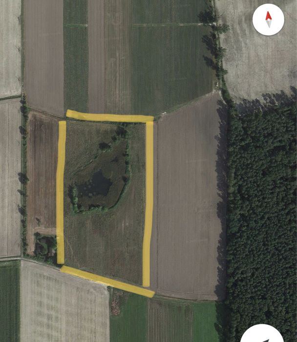 Ziemia rolna 3,5 ha ze stawem 0,8ha blisko Łask, 40km do Łodzi