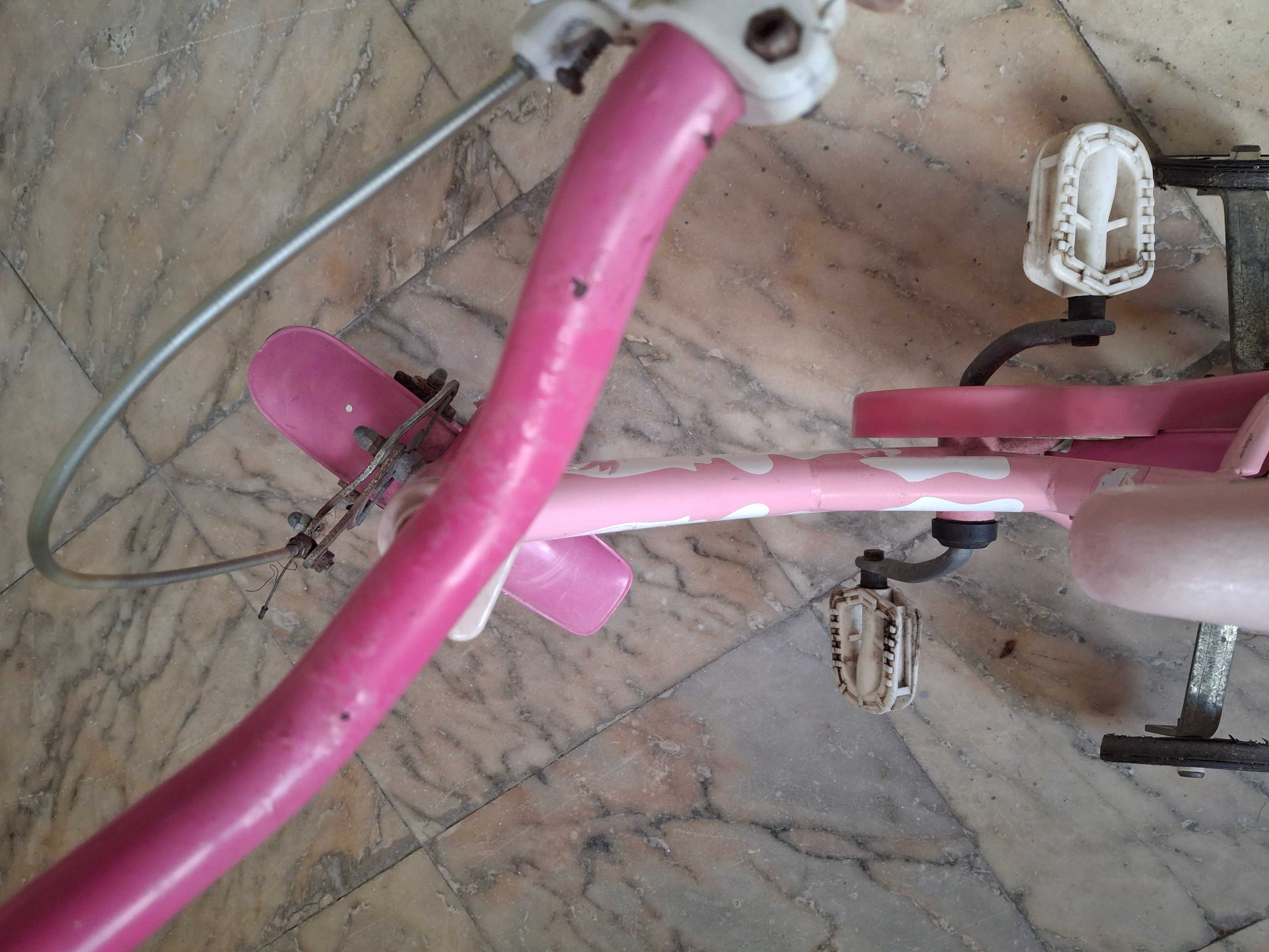Bicicleta com rodinhas menina