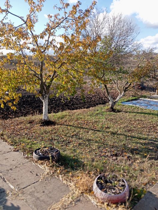 Продам дачу в УЮТ