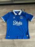 Футбольная футболка Everton
