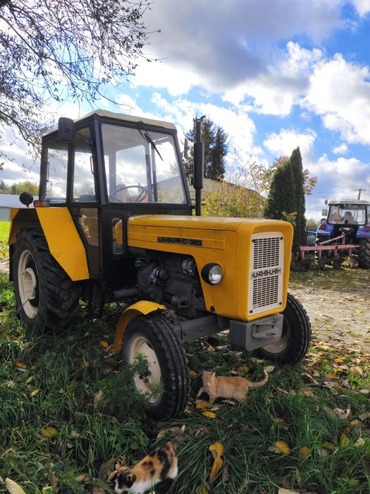 Ursus C 360 zarejestrowany