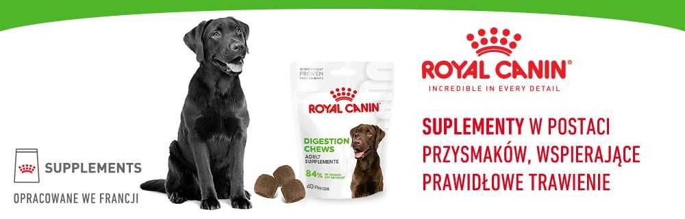 ROYAL CANIN Supplements Dog Digestion Adult suplementy dla psa - 160g
