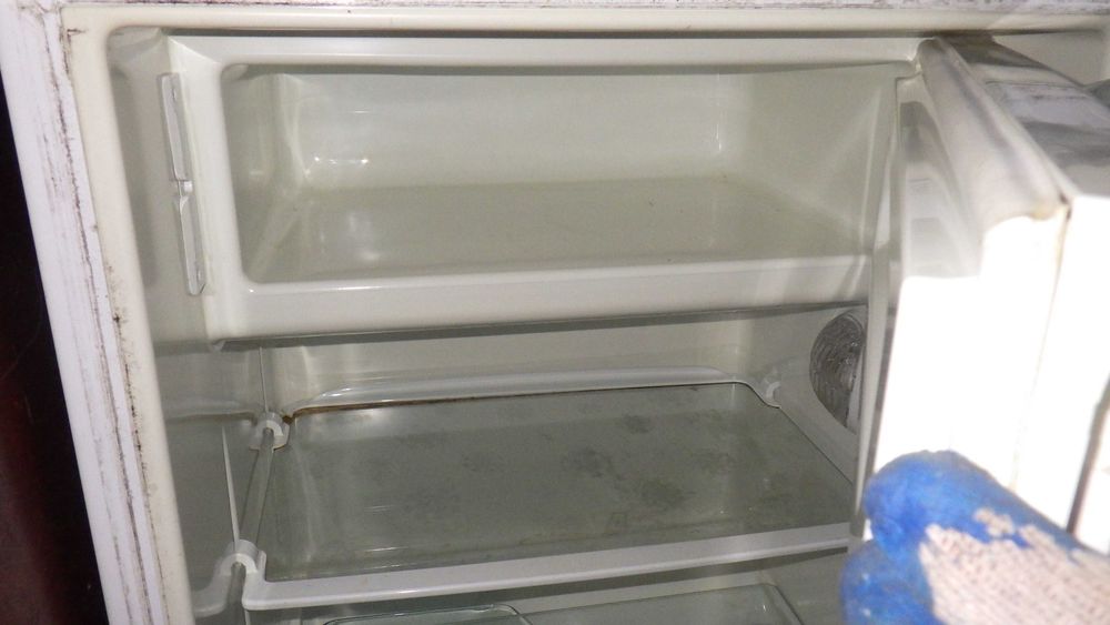 AMICA  Lodówka Domowa Ogrodowa -