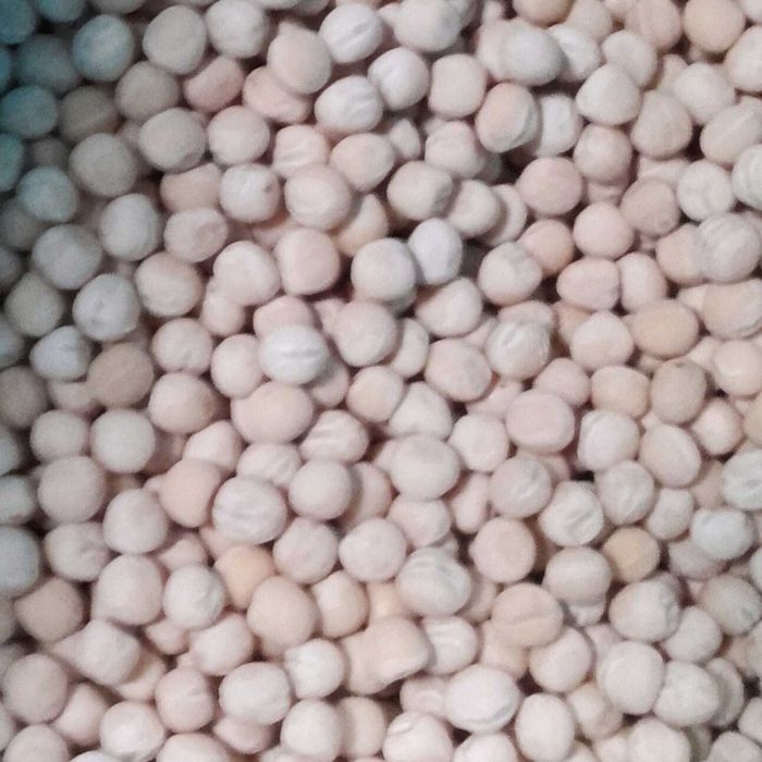 Sprzedam Groch Batuta