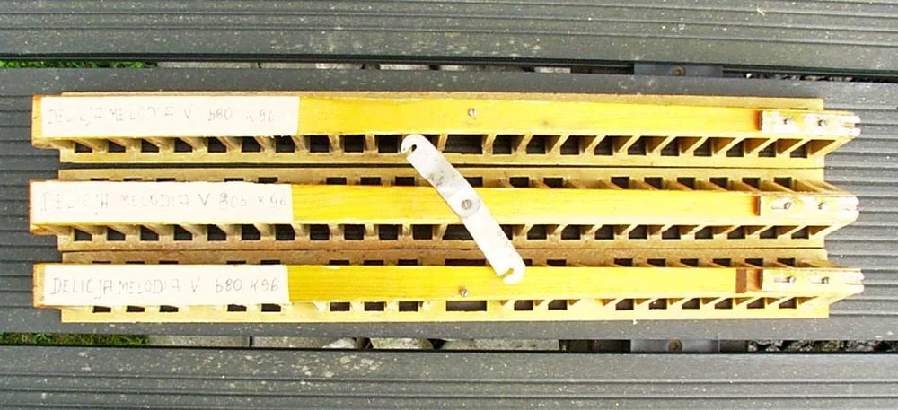 Akordeon.Głośnice Delicja Melodia V