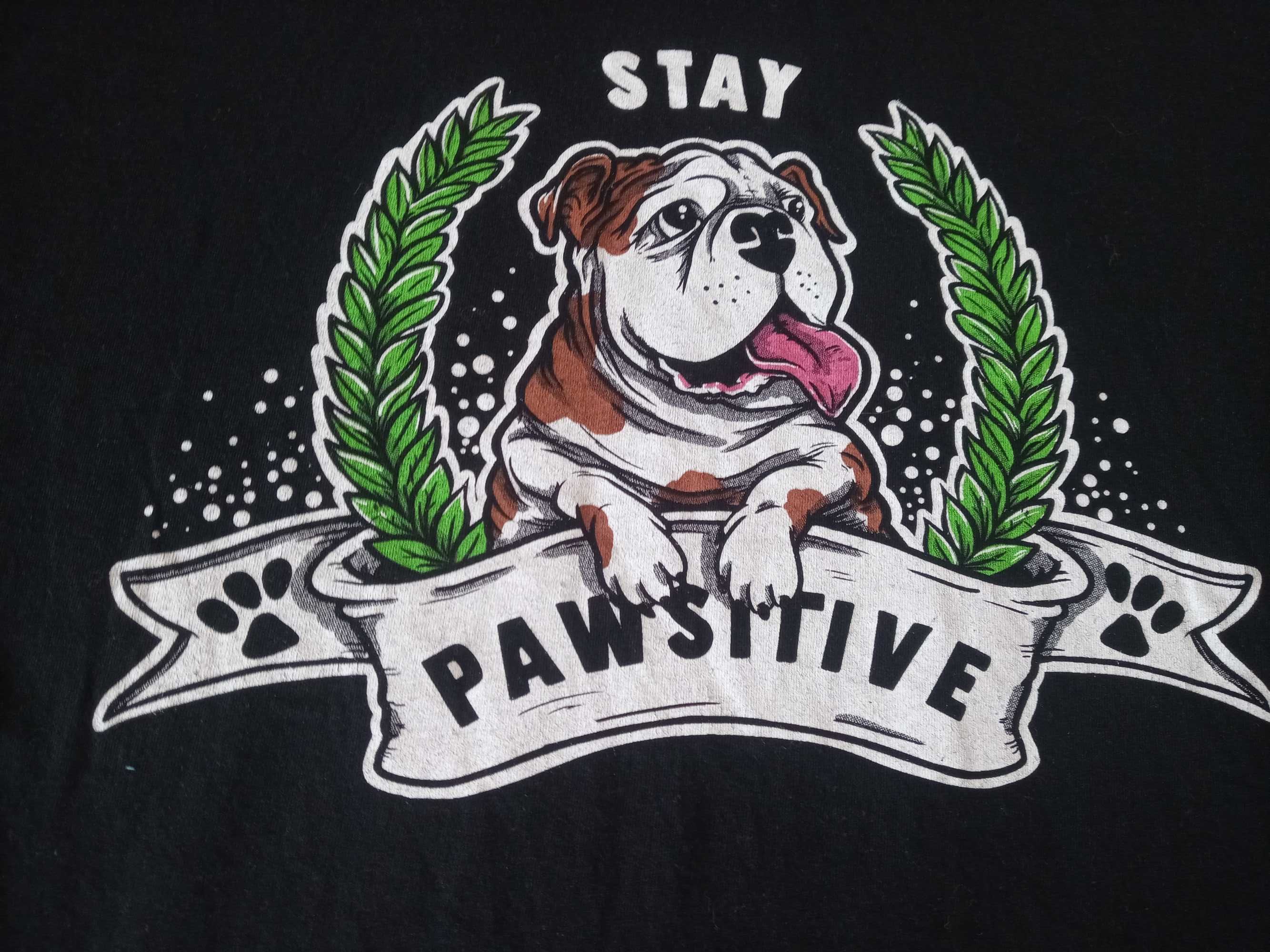 T-shirt uniseks Stay Pawsitive buldog Large