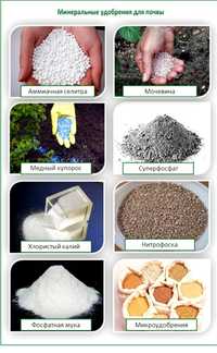 Минеральные удобоения Мочевина (импорт), селитра, суперфосфат, монофос