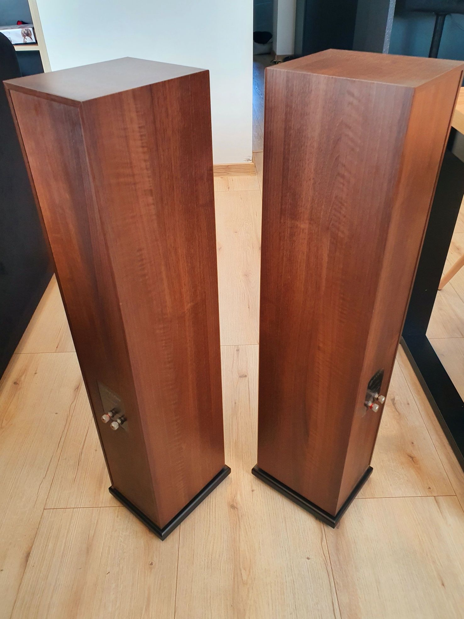 PYLON Topaz 15 Visaton świetne kolumny do 25m2