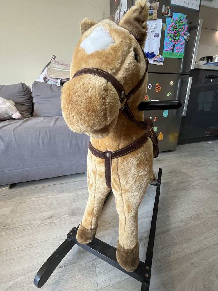 Konik na biegunach