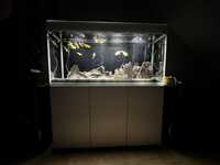 Kompletne akwarium  Aquael Glossy 240