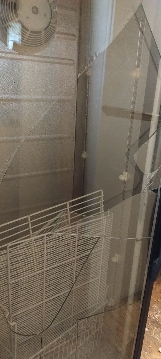 Lodówka chłodziarka Żywiec około 2m duza
