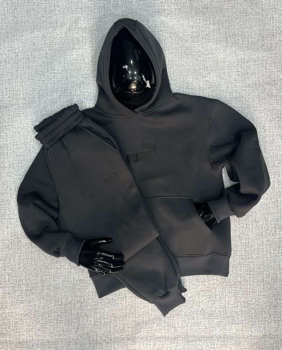 Костюм мужской на флисе с худи Nike,Puma