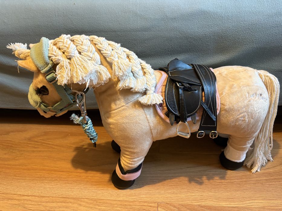 Konik LeMieux ponny popcorn