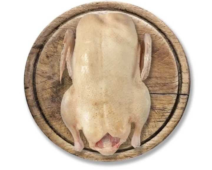 Мясо гусей легард.