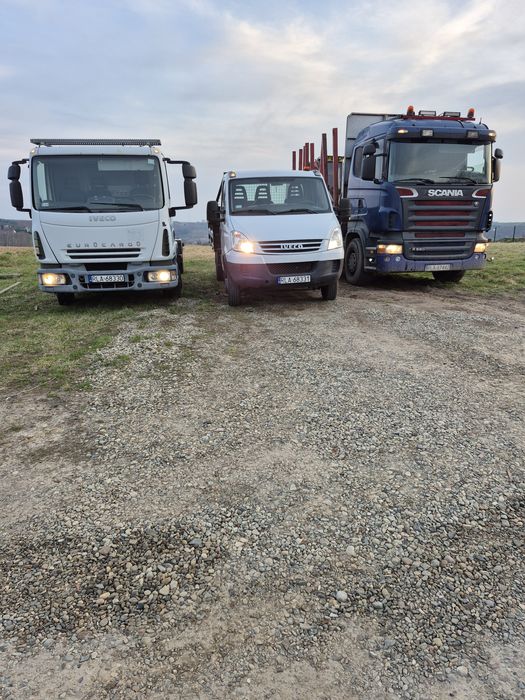 Drewno kominkowe buk