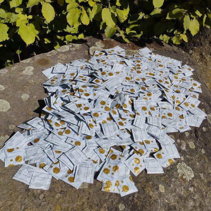 Техника для домашнего ухода