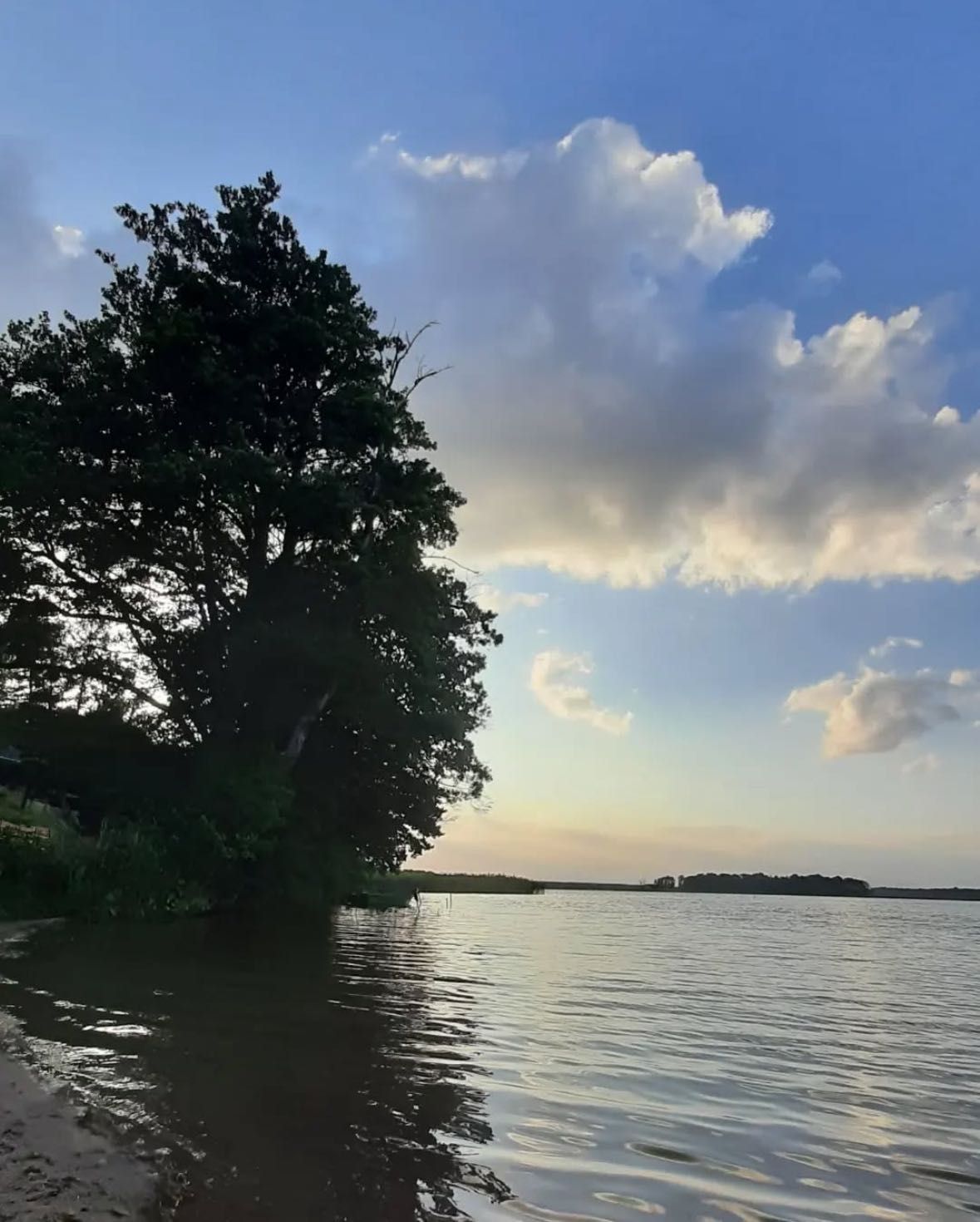 Domek nad JEZIOREM do wynajęcia MAZURY Dąbrówno Grunwald