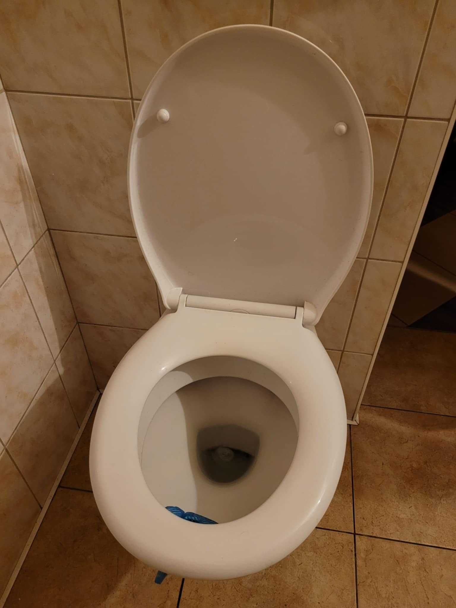 Miska klozetowa plus dodatkowy możliwy komplet