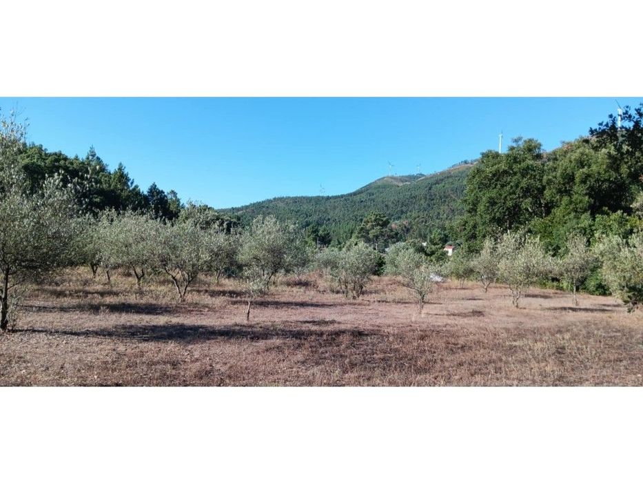 Terreno Agrícola/Florestal com construção rural a 10 Km da vila de ...