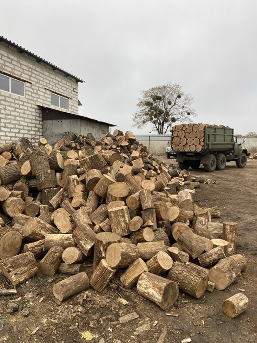 Дрова дубовые колотые, отличное качество