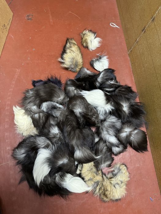 Кусочки Хвост ( сухой)  рукоделие обрезки меха