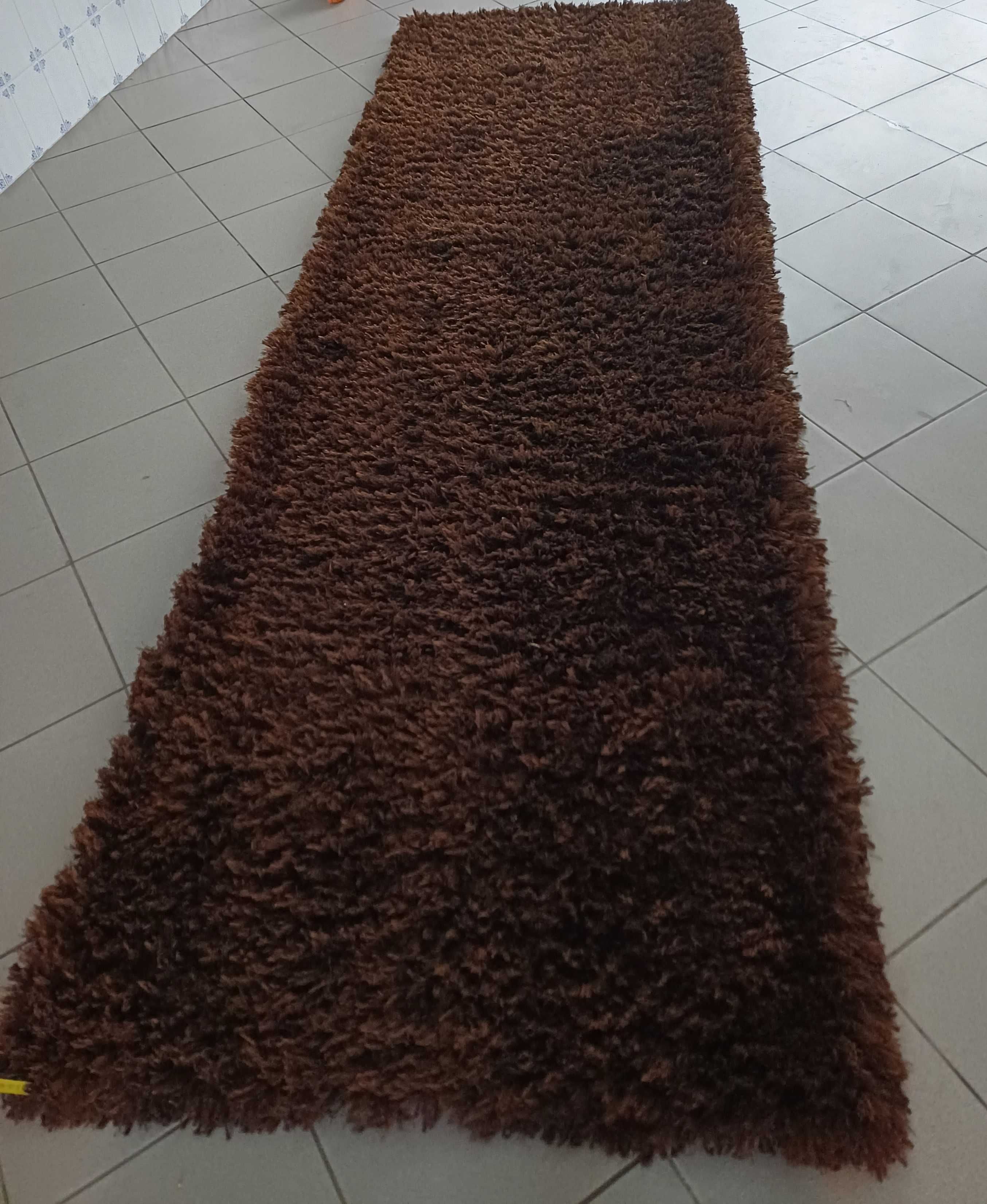 Carpetes Castanha de pelo