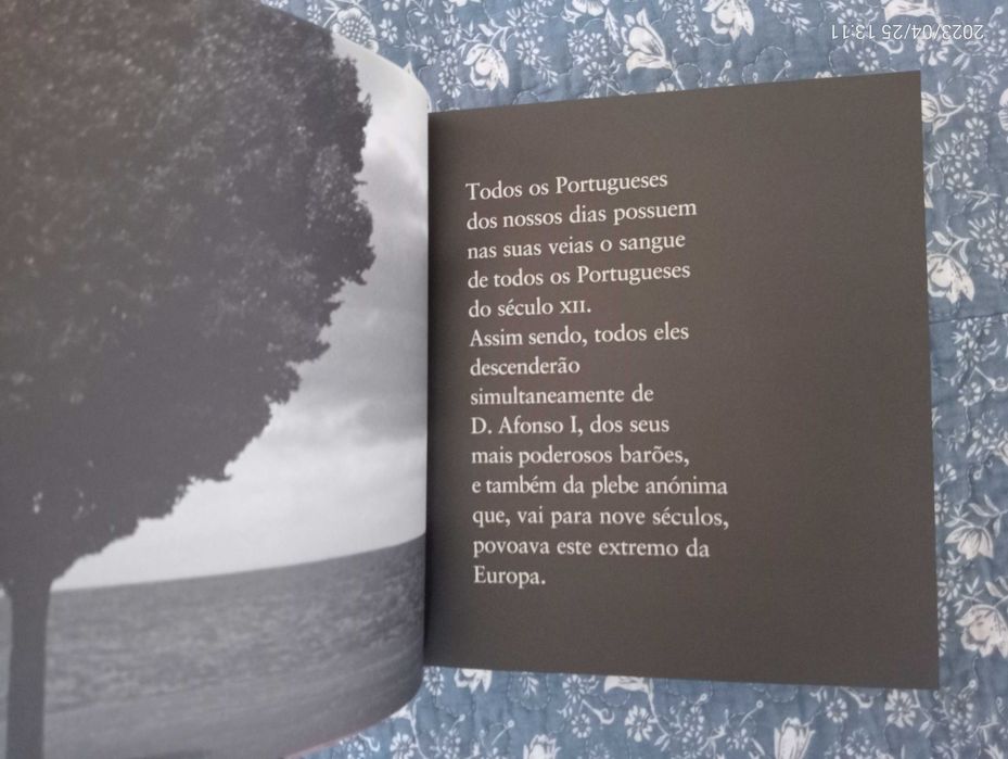 Dicionário das Famílias Portuguesas