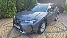 Lexus UX Super Stan Bezwypadkowy Mały Przeb FV23