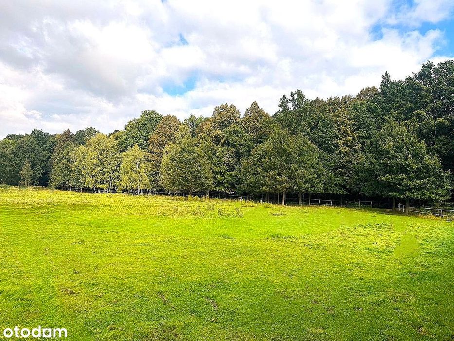 Działka Budowlana | Piękna Okolica | Działka Z Laskiem