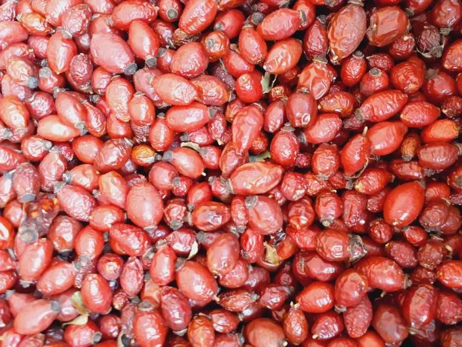 Гарбуз,тиква,кабак домашня, Продам кабак, тыква гитара,насіння,