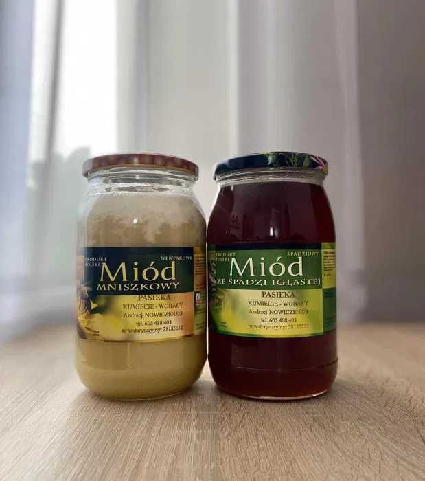 Sprzedam miód ze spadzi iglastej
