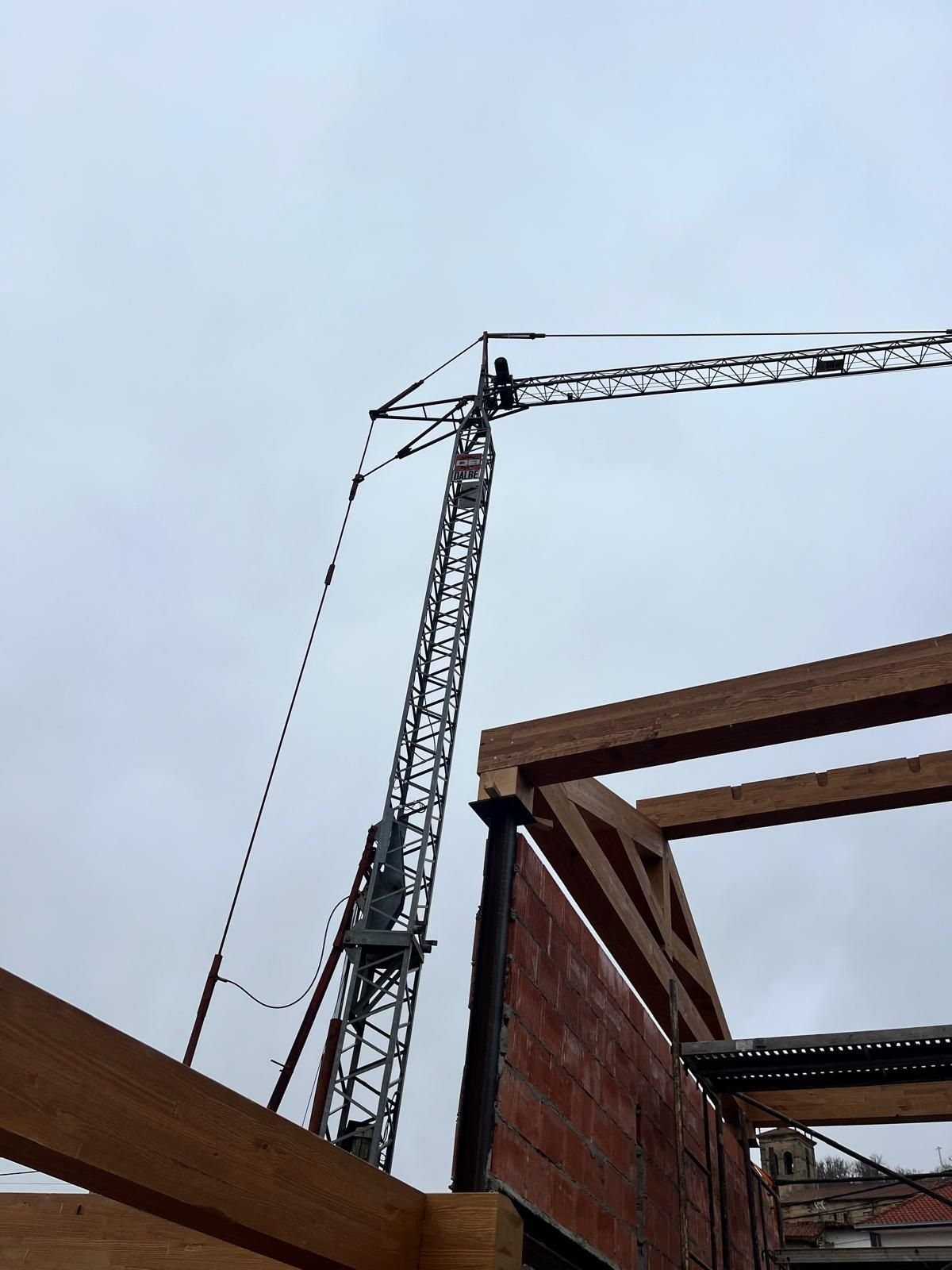 Grua monofasica Dalbe 12 x 12