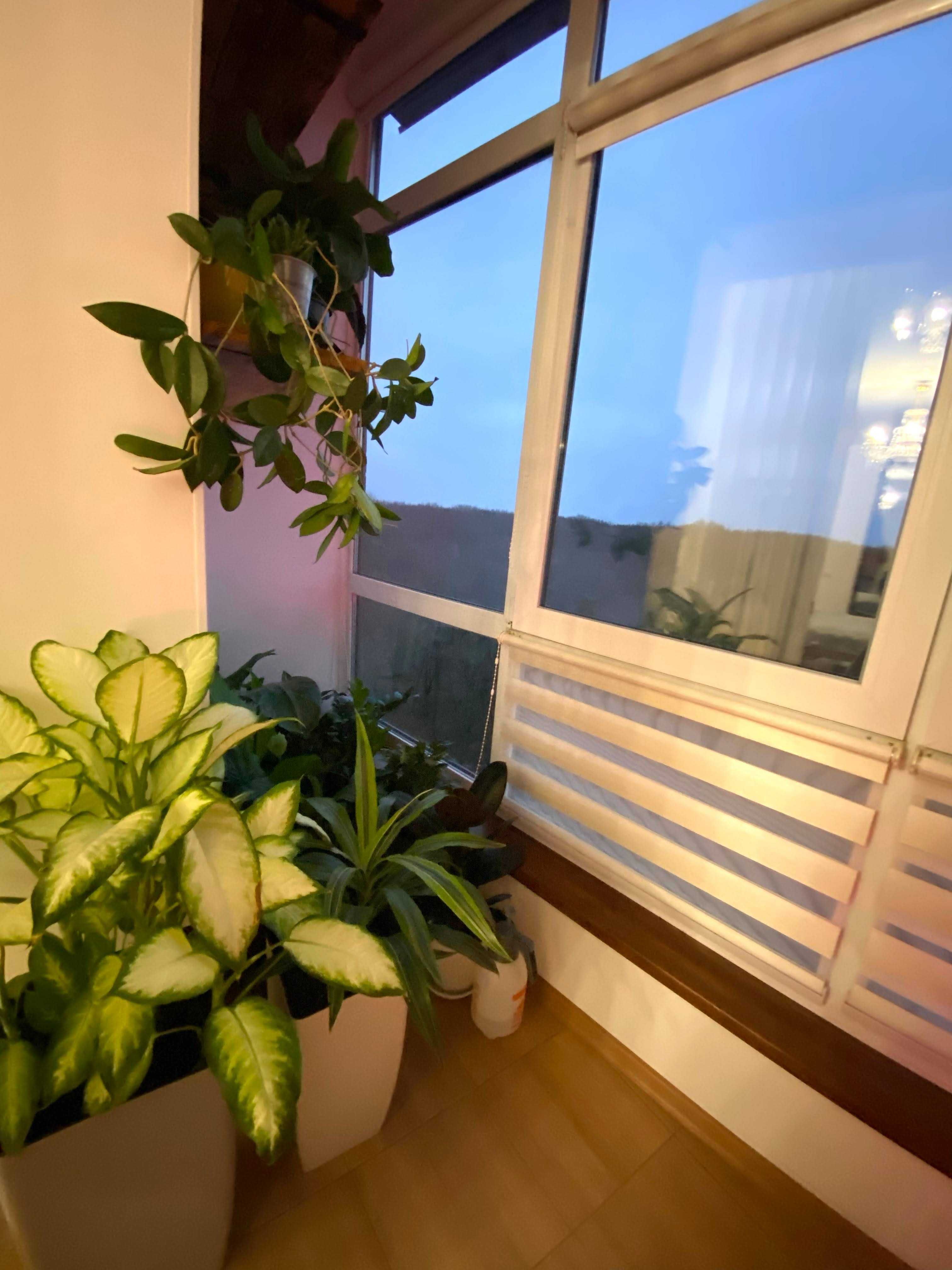 1к+кухня студія+меблі+техніка+хороше планування ID:36876