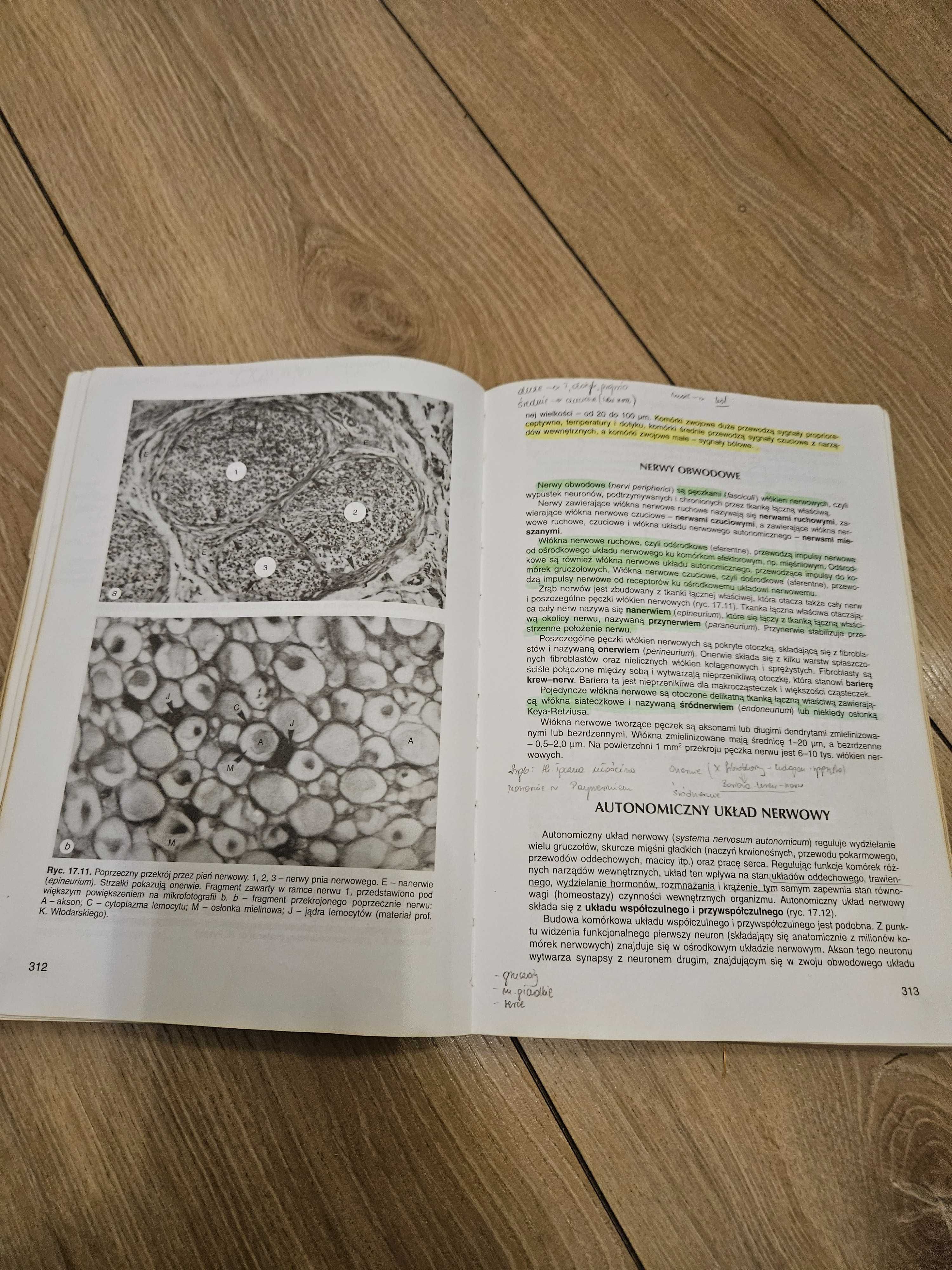 Histologia Wojciech Sawicki