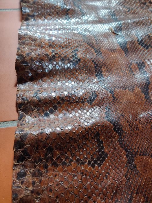 Pele de cobra com 1 metro