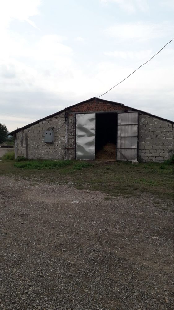 Продаж/оренда ферми с.Ванчиківці (1,3 га землі в оренді)