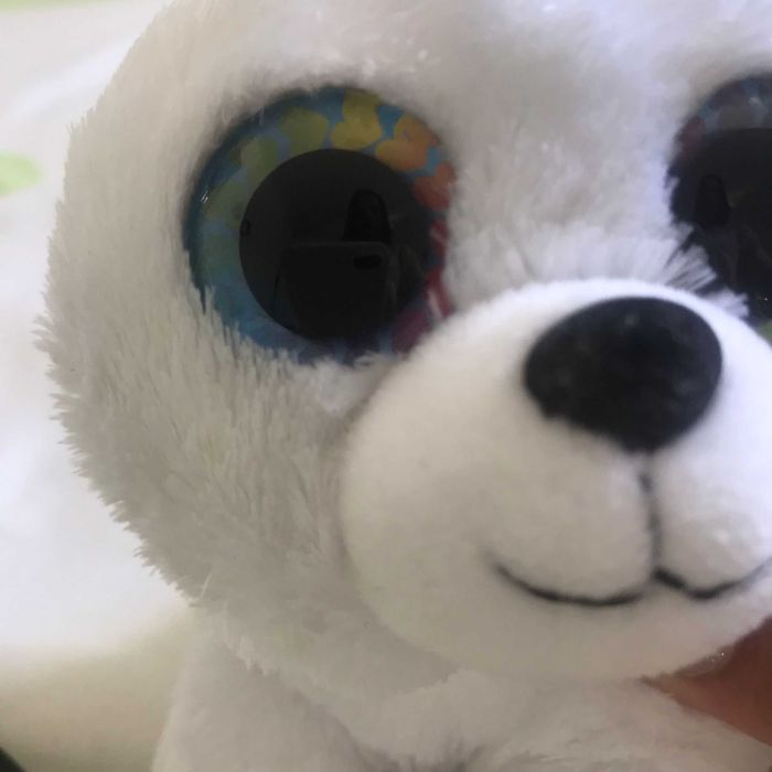peluche pequeno foca
