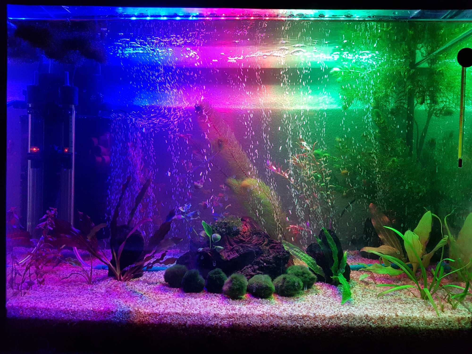 Действующий аквариум с рыбками и растениями - 80 л.