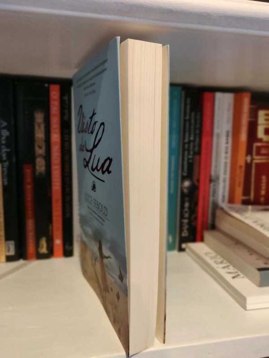 Visto da lua de Alice Sebold [NOVO]