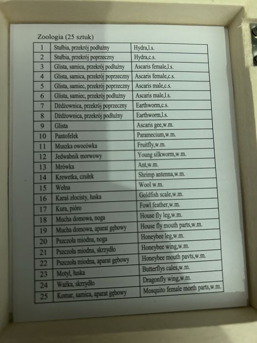 Preparaty do mikroskopu - Zoologia 25szt
